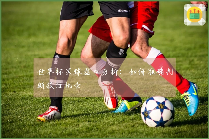 世界杯买球盘口分析：如何准确判断投注机会