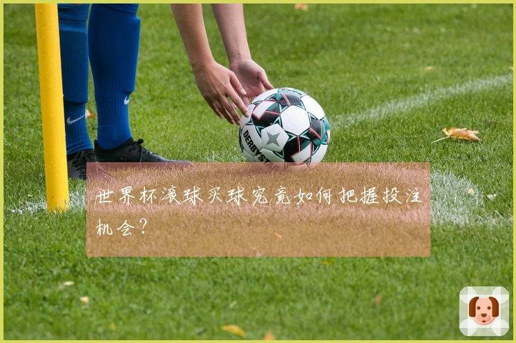 世界杯滚球买球究竟如何把握投注机会？
