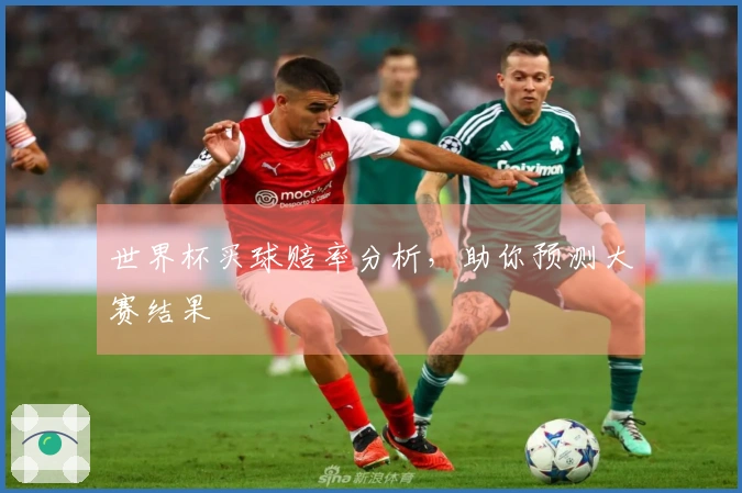 世界杯买球赔率分析，助你预测大赛结果