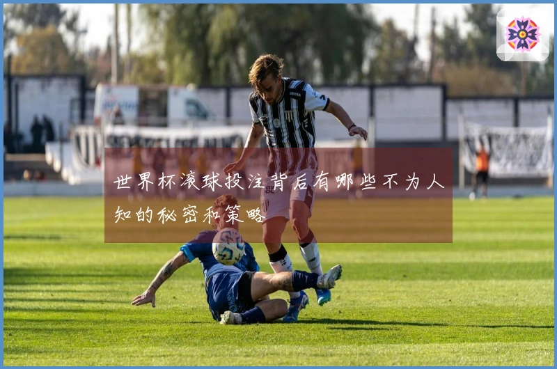 世界杯滚球投注背后有哪些不为人知的秘密和策略