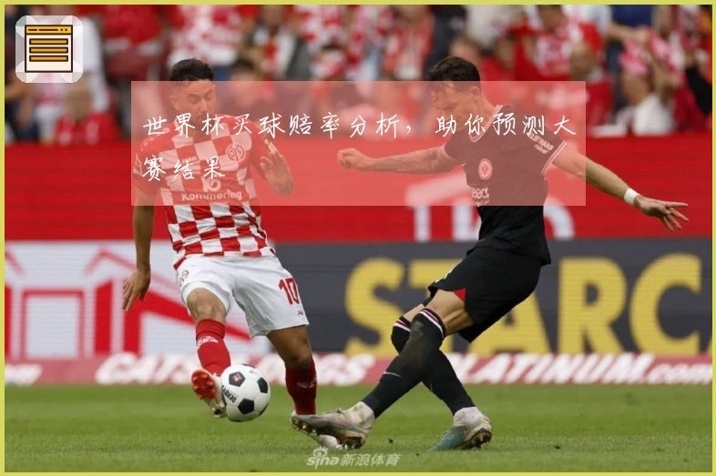世界杯买球赔率分析，助你预测大赛结果