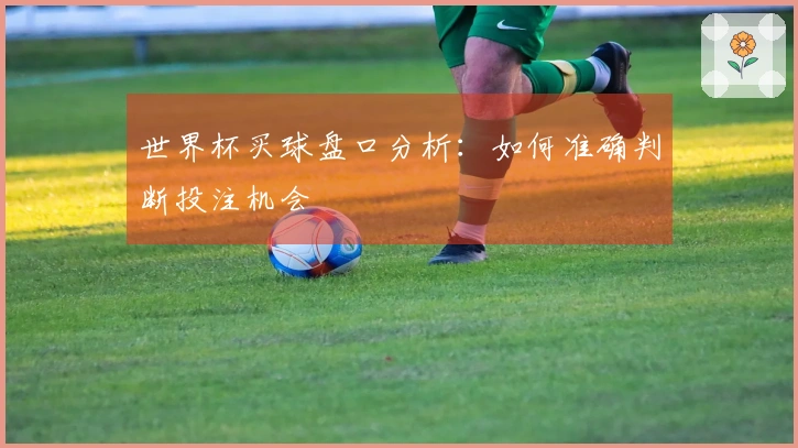 世界杯买球盘口分析:如何准确判断投注机会
